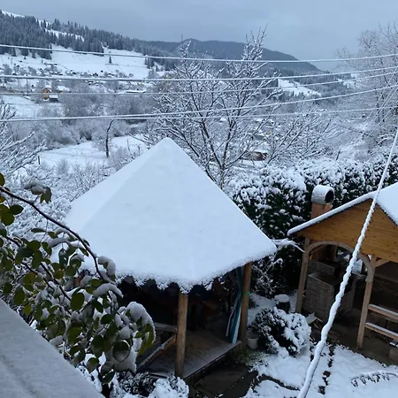 лісова пісня * 베르코비나