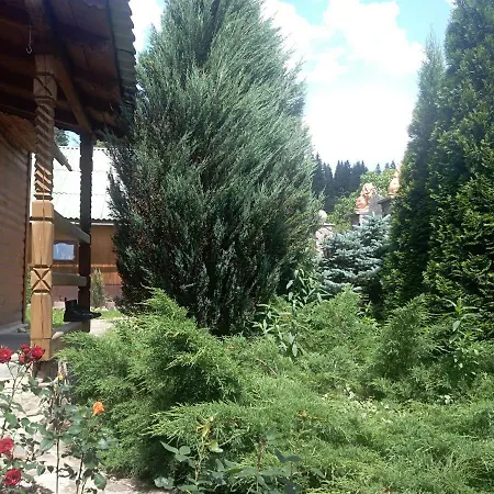 лісова пісня Verkhovyna