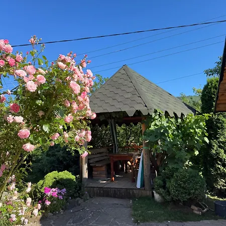 лісова пісня *